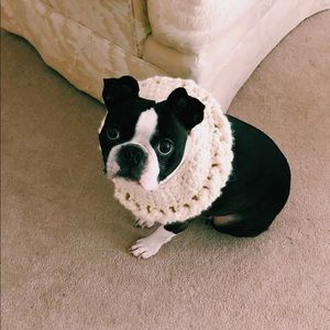 Meet your Posher, Gagabi